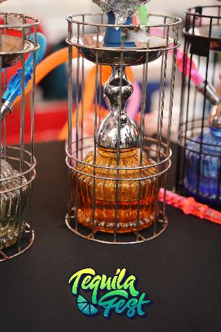 Tequila Fest Brooklyn New York City 2026 Album One event photo 251 of 511